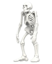 Load image into Gallery viewer, Dissect-It Discover-It Bigfoot Dig: Uncover Complete Bigfoot Skeleton