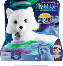 Load image into Gallery viewer, Elf on The Shelf Bundle: Extrodinary Noorah and 17" Plushee Pal Girl Light