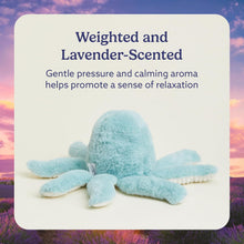 Load image into Gallery viewer, Warmies Microwavable &amp; Weighted Plush - Octopus, Small