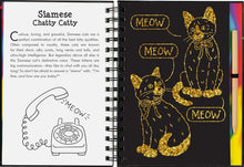 Load image into Gallery viewer, Scratch and Sketch - Kittens: An Art Activity Book