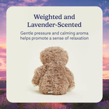 Load image into Gallery viewer, Warmies Microwavable &amp; Weighted Plush - Sloth, Small