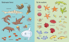 Load image into Gallery viewer, Usborne First Sticker Book - UNDER THE SEA