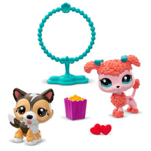 Load image into Gallery viewer, Littlest Pet Shop - Pet Pairs - Jump N' Joy