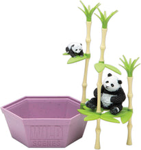 Load image into Gallery viewer, PlayMonster - Wild Scenes: Pandas' Bamboo Forest Grow &amp; Play Kit