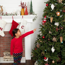 Load image into Gallery viewer, The Elf on the Shelf - Scout Elf Boy Light &amp; An Elf's Story DVD