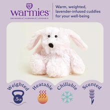 Load image into Gallery viewer, Warmies Microwavable &amp; Weighted Plush - Bunny, Small