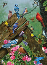 Load image into Gallery viewer, Cobble Hill 1,000 Piece Jigsaw Puzzle - Birds of the Forest (Poster Included)