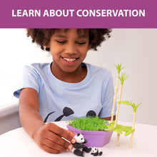 Load image into Gallery viewer, PlayMonster - Wild Scenes: Pandas' Bamboo Forest Grow &amp; Play Kit