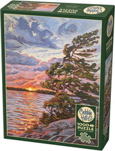 Load image into Gallery viewer, Cobble Hill 1000 Piece Family Jigsaw Puzzle - Windswept (Poster Included)