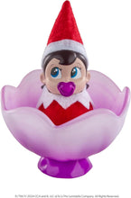 Load image into Gallery viewer, The Elf on the Shelf - New Scout Elf Girl with Posing Power and Boy &amp; Girl Frost Pips