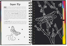 Load image into Gallery viewer, Scratch and Sketch - Bugs: An Art Activity Book