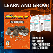 Load image into Gallery viewer, Dissect-It Discover-It Synthetic Owl Pellet Lab