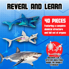 Load image into Gallery viewer, Top Secret Toys - Dissect It: A Synthetic Shark Dissection Kit, LARGE