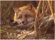 Load image into Gallery viewer, Cobble Hill 500 Piece Jigsaw Puzzle - A Touch of Warmth (Poster Included)