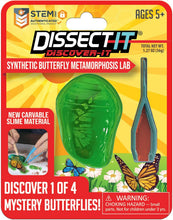 Load image into Gallery viewer, Dissect-It Mini Butterfly Chrysalis Lab