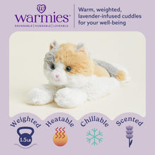 Load image into Gallery viewer, Warmies Microwavable &amp; Weighted Plush - Calico Cat, Small