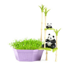 Load image into Gallery viewer, WWF Orangutans’ Treetop Adventure Grow and Play Set - PlayMonster
