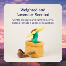 Load image into Gallery viewer, Warmies Microwavable &amp; Weighted Plush - Potted Flower, Large