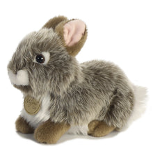 Load image into Gallery viewer, Aurora Miyoni Tots Bundle of 3 Plush: Tan Baby Bunny, Grey Baby Bunny, and Angora Grey