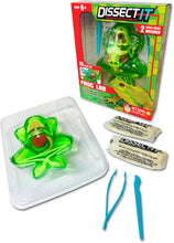 Load image into Gallery viewer, Top Secret Toys - Dissect It: A Synthetic Frog Dissection Kit, LARGE