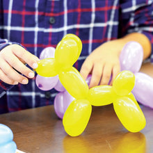 Load image into Gallery viewer, Schylling How to Make Balloon Animals Kit