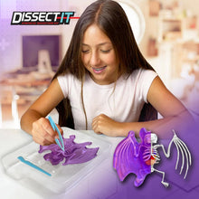 Load image into Gallery viewer, Top Secret Toys - Dissect It: A Synthetic Bat Dissection Kit, LARGE