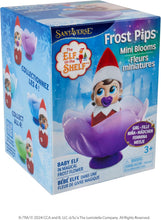 Load image into Gallery viewer, The Elf on the Shelf® Blue Eyed Girl &amp; Matching Frost Pips™ Mini Bloom