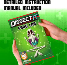 Load image into Gallery viewer, Top Secret Toys - Dissect It: A Synthetic Frog Dissection Kit, LARGE