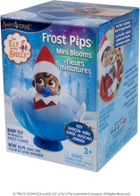 Load image into Gallery viewer, The Elf on the Shelf - Scout Elf Boy Dark &amp; Matching Frost Pip
