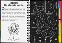 Load image into Gallery viewer, Scratch and Sketch - Kittens: An Art Activity Book