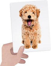 Load image into Gallery viewer, HEADU Flashcards Tactile Montessori