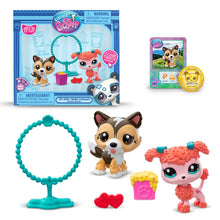 Load image into Gallery viewer, Littlest Pet Shop - Pet Pairs - Jump N' Joy