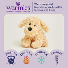 Load image into Gallery viewer, Warmies Microwavable &amp; Weighted Plush - Golden Dog, Small