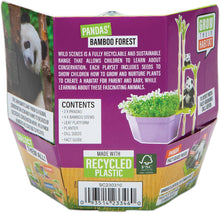 Load image into Gallery viewer, PlayMonster - Wild Scenes: Pandas' Bamboo Forest Grow &amp; Play Kit