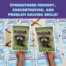 Load image into Gallery viewer, PlayMonster Games - Giant Matching Card Game: Baby Animals