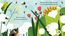 Load image into Gallery viewer, Usborne Little Peek Through Books - Are You There Little Bunny?