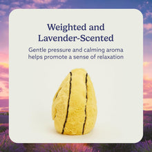 Load image into Gallery viewer, Warmies Microwavable &amp; Weighted Plush - Happy Duo: Smiley Faces, Large &amp; Small