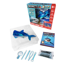 Load image into Gallery viewer, Top Secret Toys - Dissect It: A Synthetic Shark Dissection Kit, LARGE