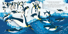 Load image into Gallery viewer, Usborne Pop-Up Hardback Book - BIRDS