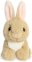 Load image into Gallery viewer, Aurora Eco Nation Mini Plush - Tan Bunny, 5"