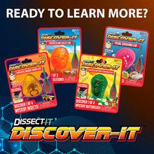 Load image into Gallery viewer, Dissect-It Discover-It Synthetic Owl Pellet Lab