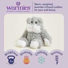 Load image into Gallery viewer, Warmies Microwavable &amp; Weighted Plush - Gray Cat, Small