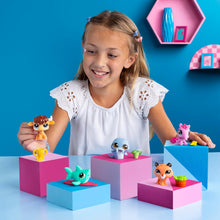 Load image into Gallery viewer, Schylling - Littlest Pet Shop: Suprise Blind Singles (Series 2), 1 Count