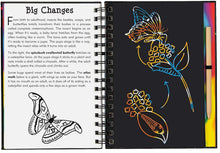 Load image into Gallery viewer, Scratch and Sketch - Bugs: An Art Activity Book