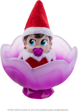 Load image into Gallery viewer, The Elf on the Shelf® Blue Eyed Girl &amp; Matching Frost Pips™ Mini Bloom