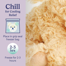 Load image into Gallery viewer, Warmies Microwavable &amp; Weighted Plush - Golden Dog, Small