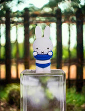 Load image into Gallery viewer, Smoko - Miffy Goes Outside Blind Box Figure, 1 Count