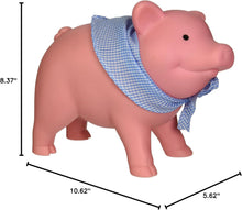 Load image into Gallery viewer, Schylling Rubber Piggy Bank