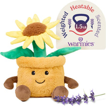 Load image into Gallery viewer, Warmies Microwavable &amp; Weighted Plush - Potted Flower, Large