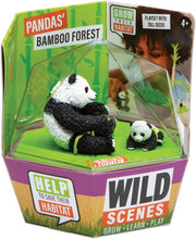 Load image into Gallery viewer, PlayMonster - Wild Scenes: Pandas' Bamboo Forest Grow &amp; Play Kit
